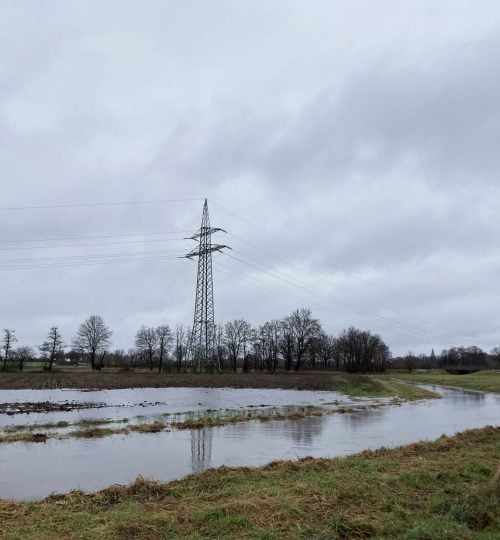 Mühlenbach Richtugn Nordosten