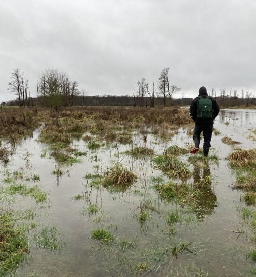 Überflutete Anbaufläche Richtung Westen